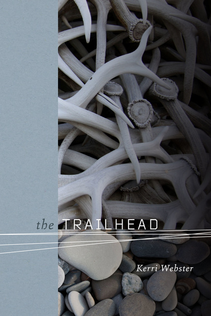 

The Trailhead