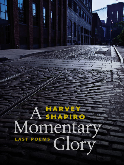 Harvey Shapiro - A Momentary Glory