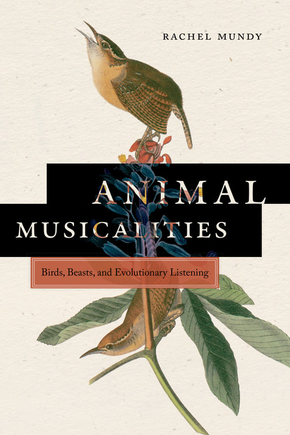 

Animal Musicalities