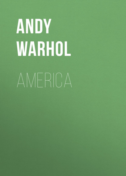 Andy Warhol - America