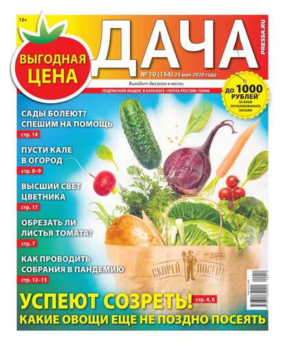 Дача Pressa.ru 10-2020 - Редакция газеты Дача Pressa.ru