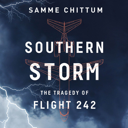 Samme Chittum — Southern Storm - Air Disasters 2 (Unabridged)