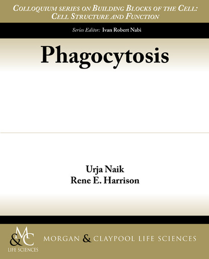 

Phagocytosis