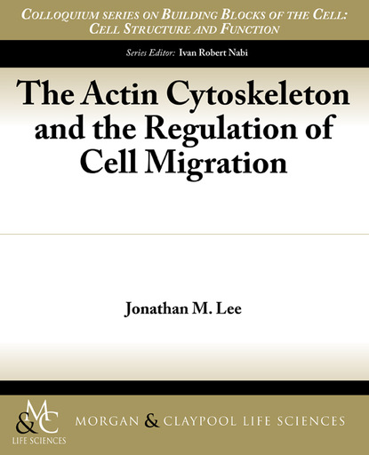 

The Actin Cytoskeleton and the Regulation of Cell Migration