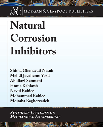 Navid Rabiee - Natural Corrosion Inhibitors