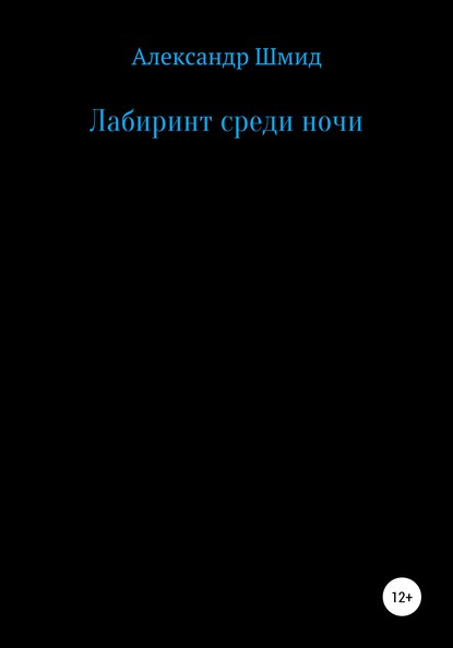 Александр Витальевич Шмид — Лабиринт среди ночи