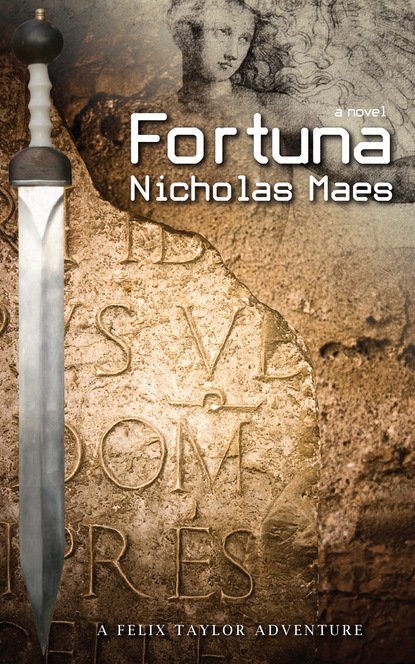 Nicholas Maes - Fortuna