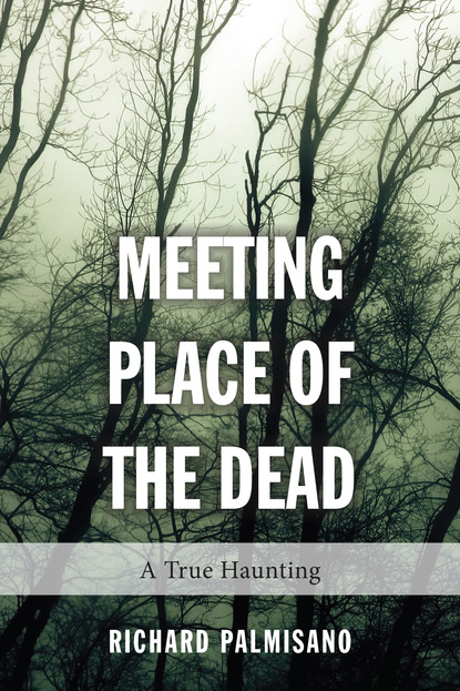 Richard Palmisano — Meeting Place of the Dead