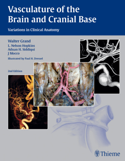 Группа авторов - Vasculature of the Brain and Cranial Base