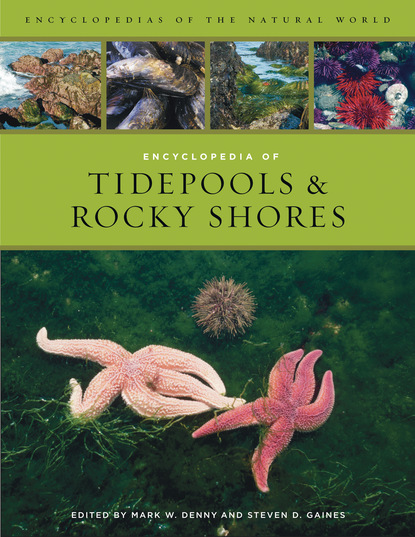 Группа авторов - Encyclopedia of Tidepools and Rocky Shores