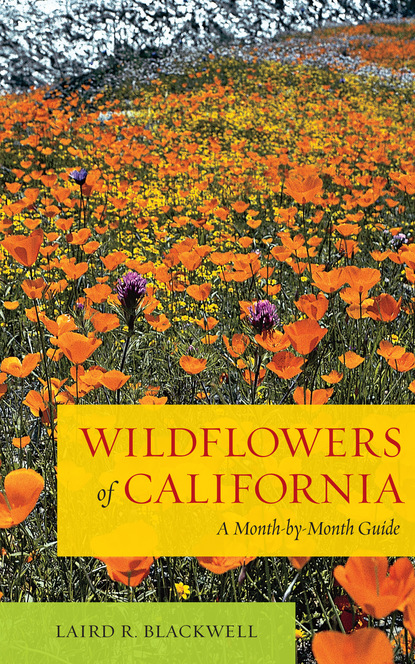 Laird Blackwell - Wildflowers of California