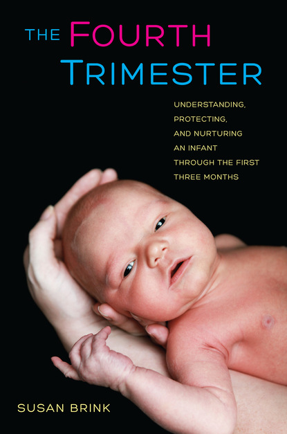 Susan Brink - The Fourth Trimester