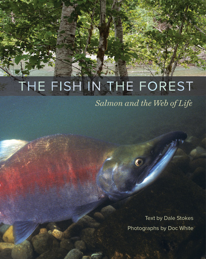 Dale Stokes - The Fish in the Forest