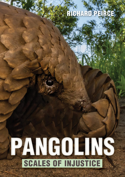 Richard Peirce - Pangolins – Scales of Injustice