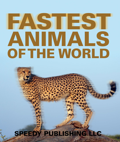 

Fastest Animals Of The World