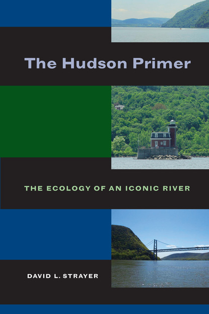 David L. Strayer - The Hudson Primer