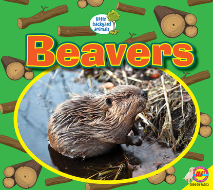 

Beavers