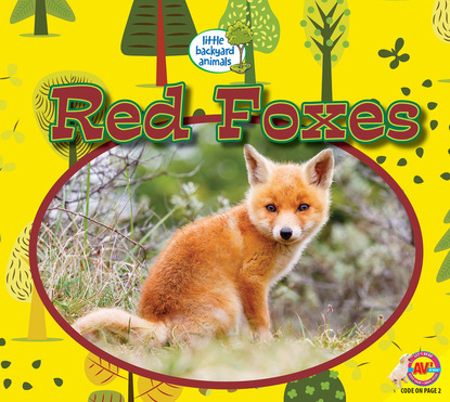 

Red Foxes