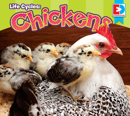 

Life Cycles: Chickens