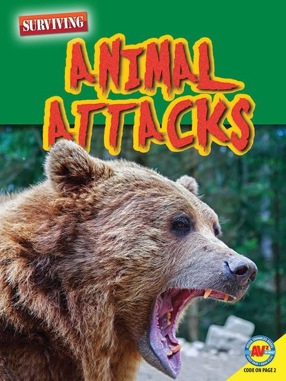 

Animal Attacks