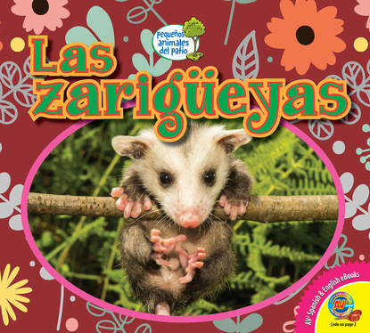 

Las zarigüeyas