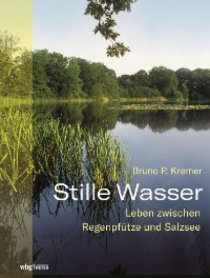 

Stille Wasser