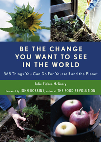 Julie Fisher-McGarry — Be the Change You Want to See in the World