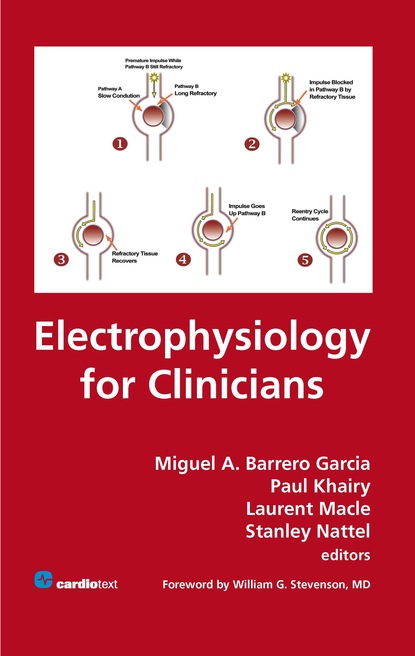 Группа авторов - Electrophysiology for Clinicians