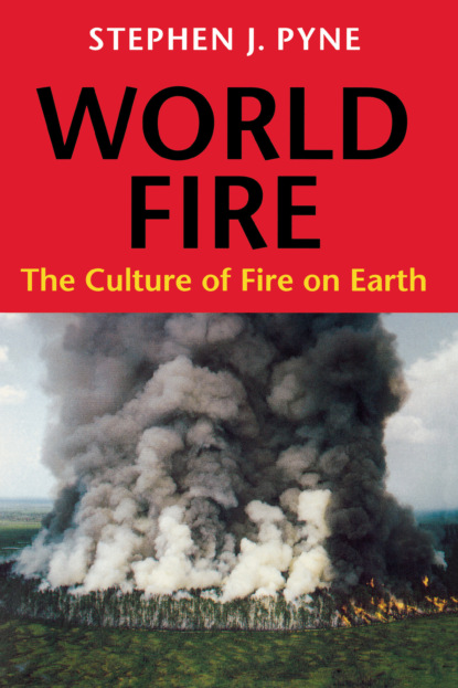 Stephen J. Pyne - World Fire