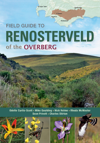 Odette Curtis-Scott - Field Guide to Renosterveld of the Overberg