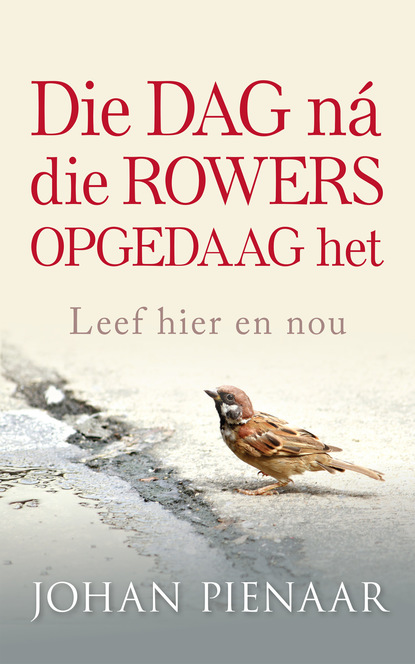 Johan Pienaar - Die dag ná die rowers opgedaag het