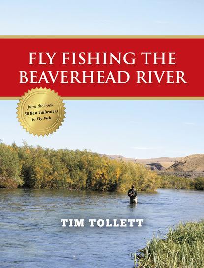 

Fly Fishing the Beaverhead River