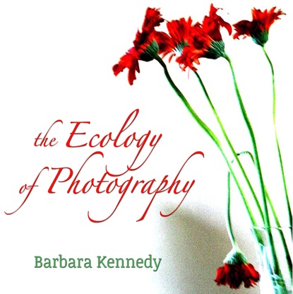 Barbara Kennedy - The Ecology of Photography