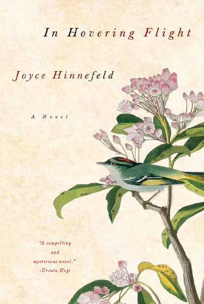 Joyce  Hinnefeld - In Hovering Flight