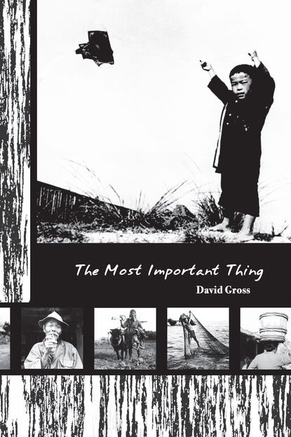 David Gross - The Most Important Thing