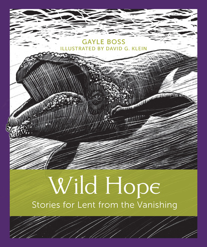 Gayle Boss — Wild Hope