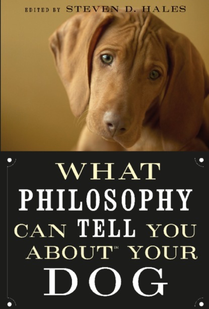 Группа авторов - What Philosophy Can Tell You about Your Dog