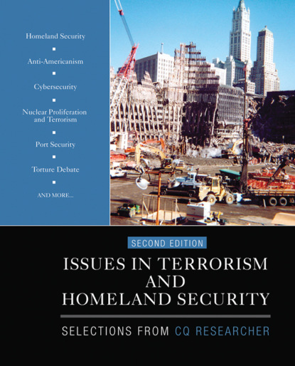 Группа авторов - Issues in Terrorism and Homeland Security