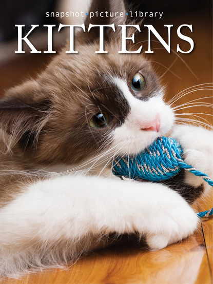 

Kittens