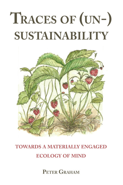 Peter  Graham - Traces of (Un-) Sustainability