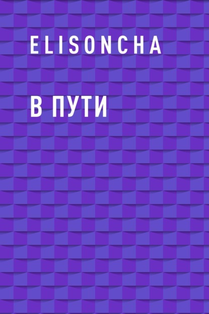 

В пути