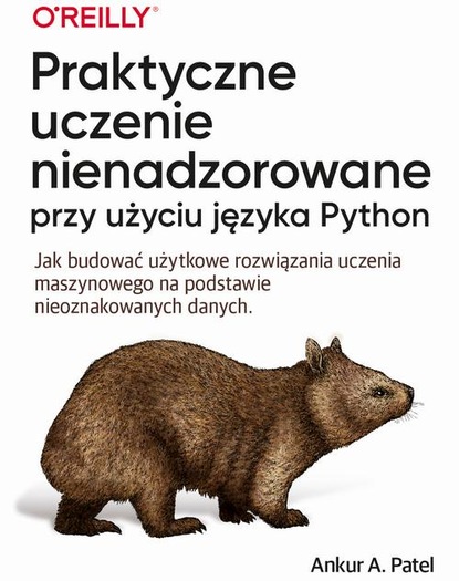 Ankur A. Patel - Praktyczne uczenie nienadzorowane przy użyciu języka Python