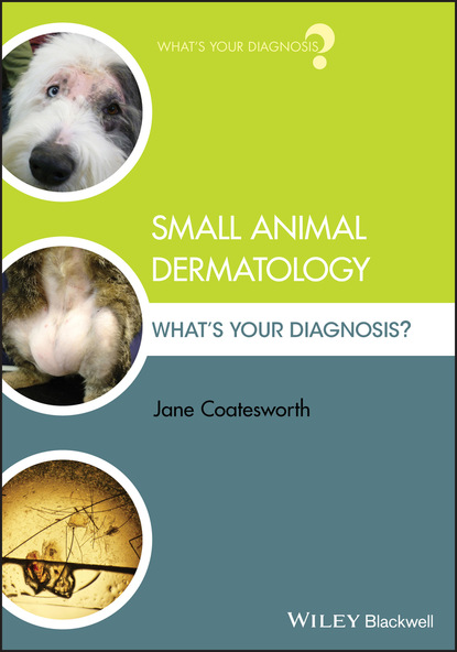 Jane Coatesworth - Small Animal Dermatology