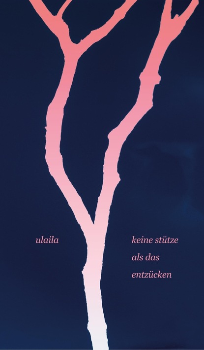 

keine stütze als das entzücken