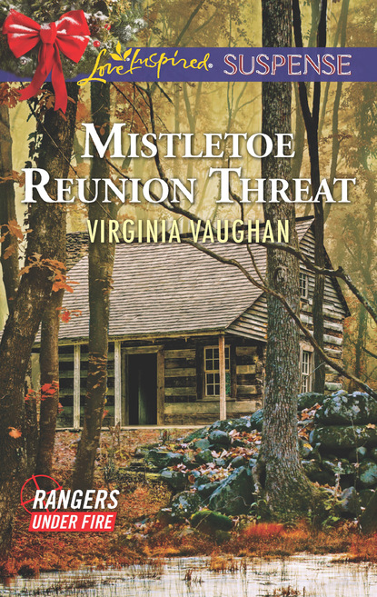 Virginia Vaughan - Mistletoe Reunion Threat
