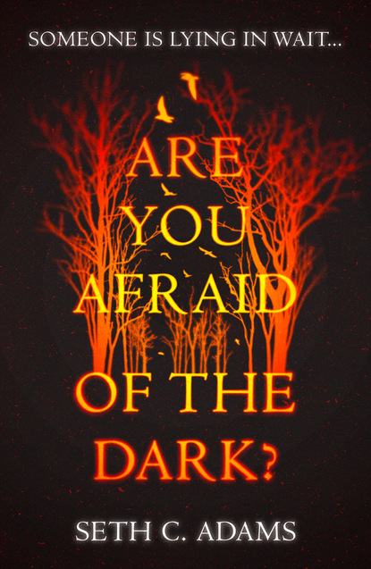 Seth C. Adams — Are You Afraid of the Dark?
