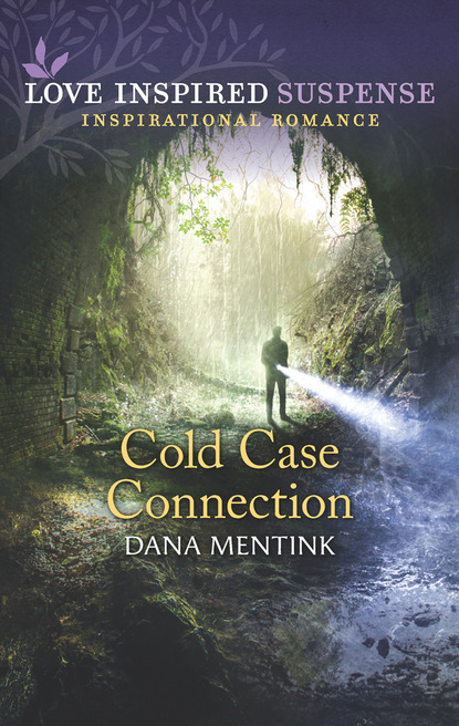 Dana Mentink - Cold Case Connection