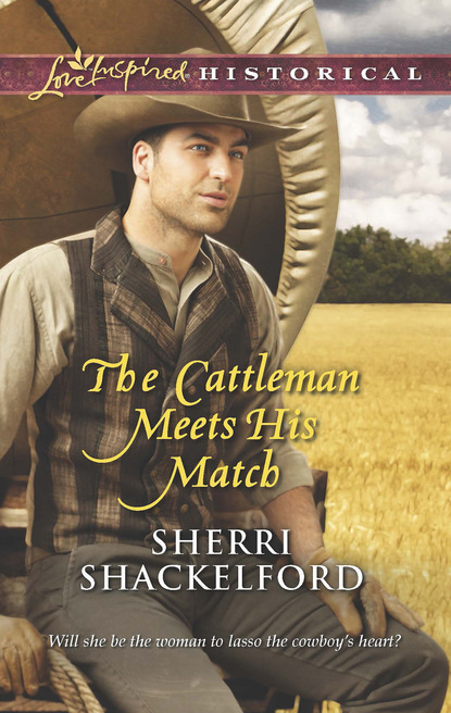 Sherri Shackelford - The Cattleman Meets His Match