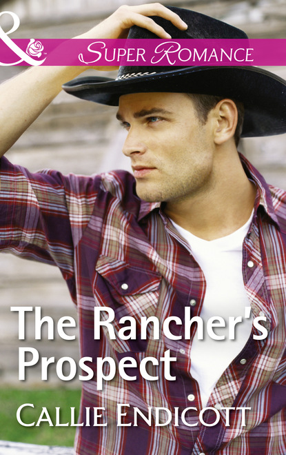 Callie Endicott - The Rancher's Prospect