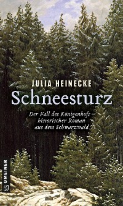Schneesturz - Der Fall des Königenhofs - Julia Heinecke